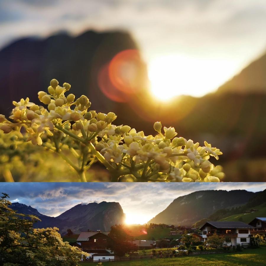 Urlaub Bei Moses Apartment ชอปเปอร์เนา ภายนอก รูปภาพ