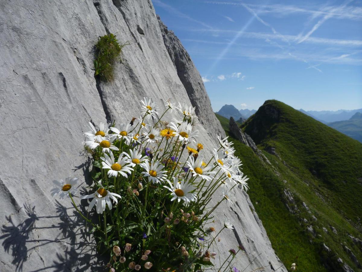 Urlaub Bei Moses Apartment ชอปเปอร์เนา ภายนอก รูปภาพ