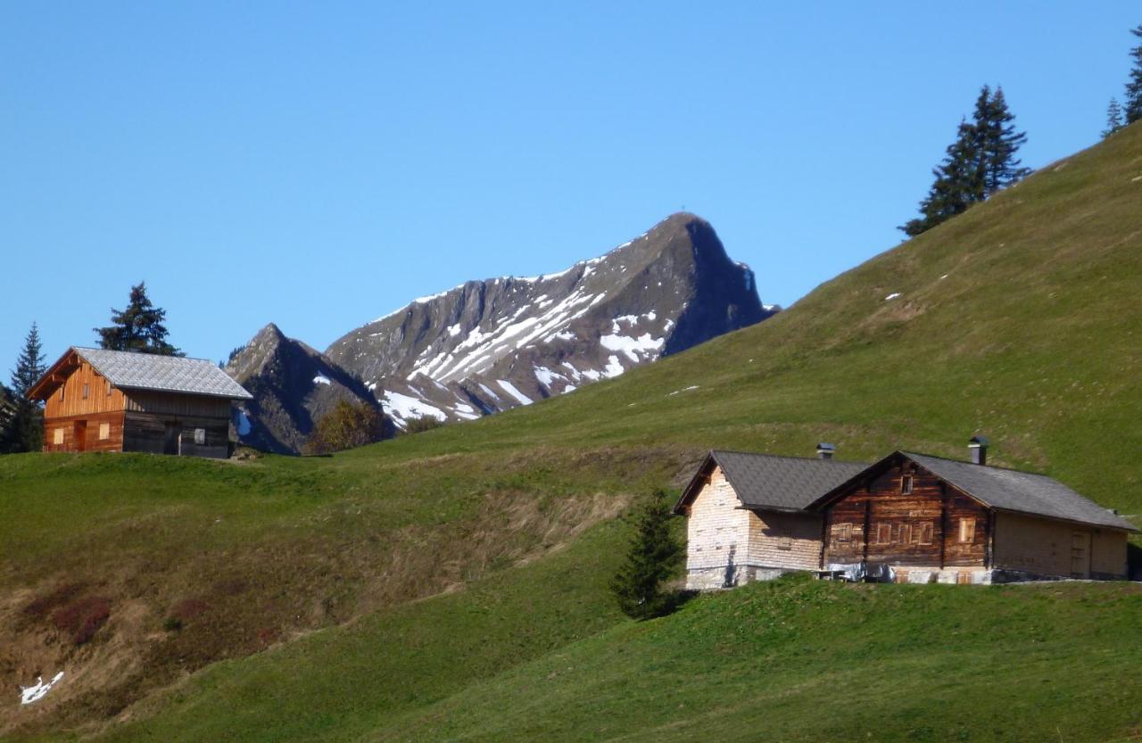 Urlaub Bei Moses Apartment ชอปเปอร์เนา ภายนอก รูปภาพ