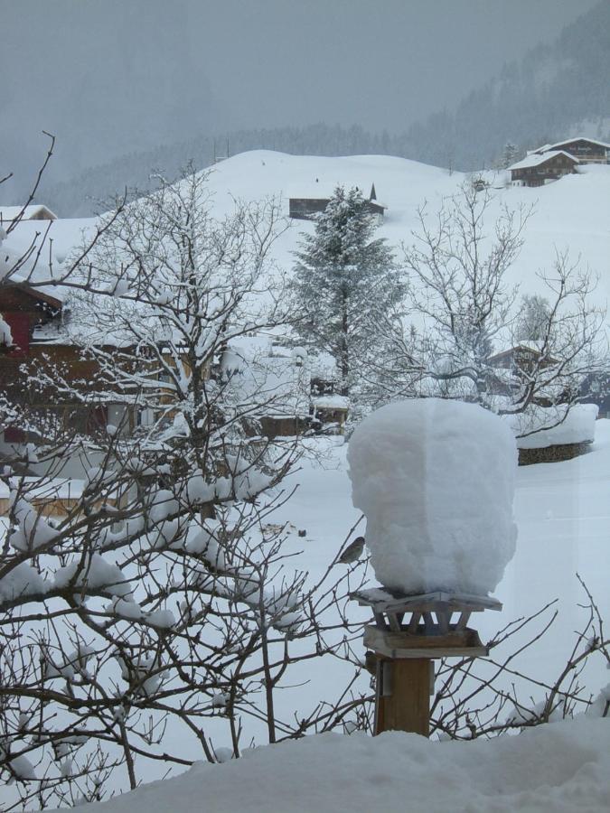 Urlaub Bei Moses Apartment ชอปเปอร์เนา ภายนอก รูปภาพ